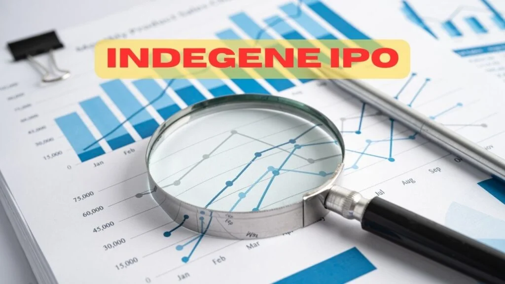 Subscriptions for the Indigene IPO open: Is it a right bid for you?